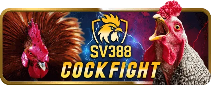 Biểu tượng bảo mật và an toàn dữ liệu trên nền tảng HDBet88
